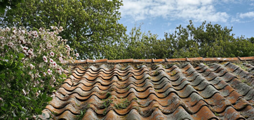 Identifying Common Roofing Issues That Affect Aesthetics