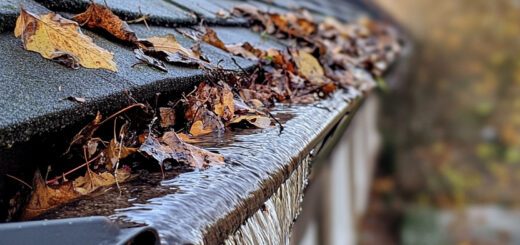 Common Signs That Indicate Your Gutters Need Repair